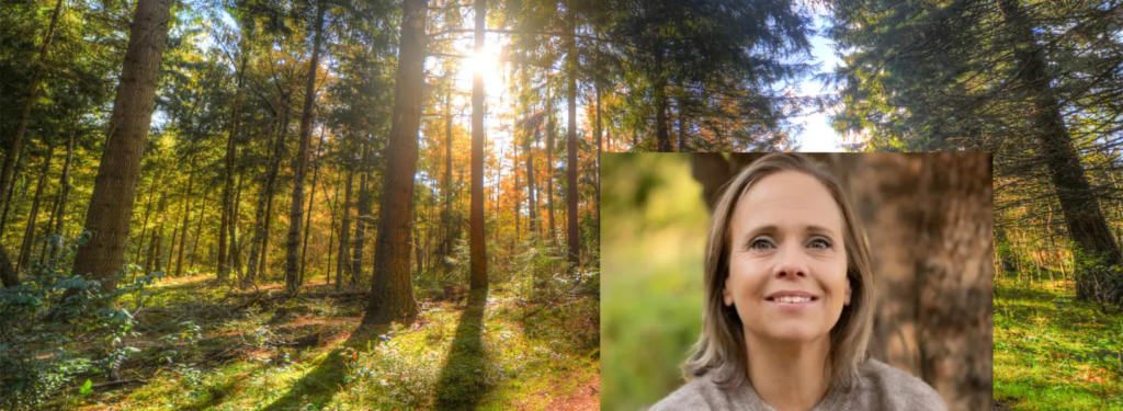 Anna Haettel betonar vikten av att hela tiden ha syftet med reglerna framför sig parallellt med den faktiska hållbara utvecklingen inom företaget, så kommer rapporteringen att gynnas av det också.