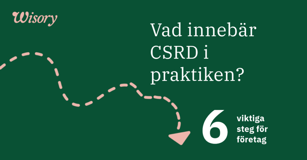 Vad innebär CSRD i praktiken? 6 viktiga steg för företag.